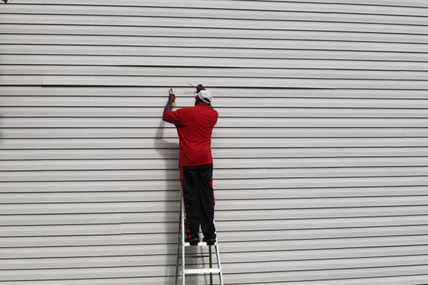Best Custom Siding Design  in Kelseyville, CA